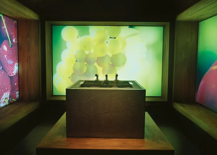 Hotel Smarjeta - Terme Krka 4*